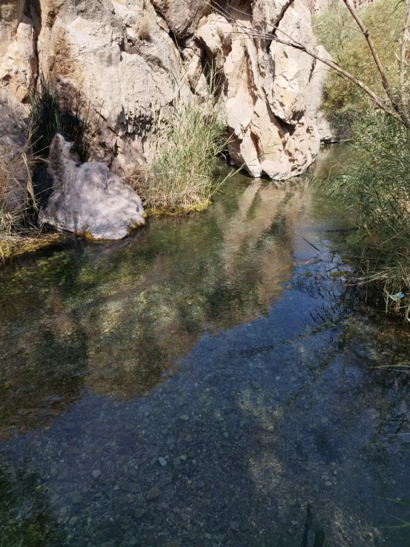 چشمه گلابی - تصویر 2