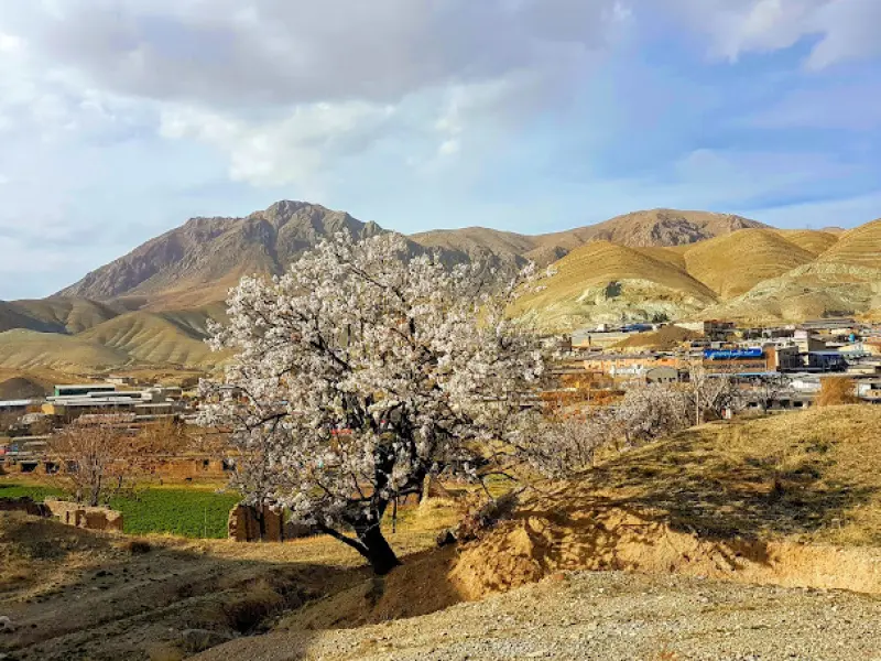 پارک ملی خجیر - تصویر 4