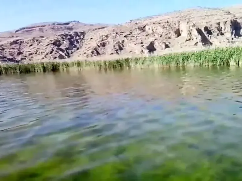 دریاچه پریشان - تصویر 4