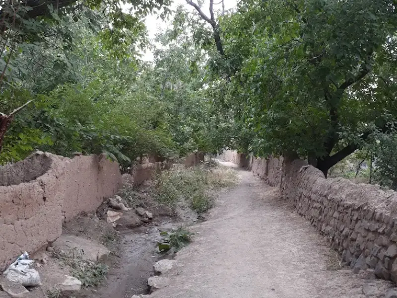 روستای قلعه بالا - تصویر 7
