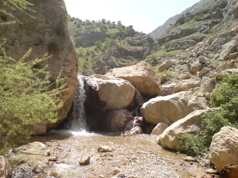 تنگ تهی - تصویر 2
