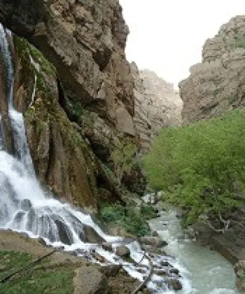 چال ماهی تهران، تهران