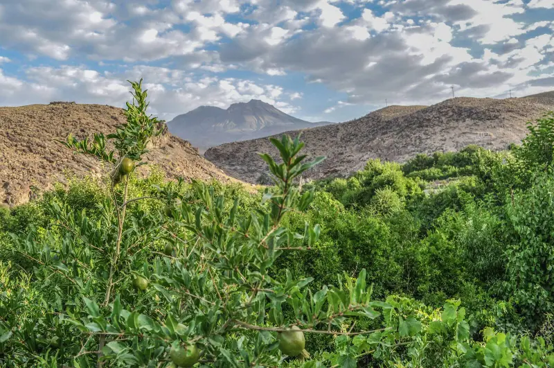 روستای تمین - تصویر 1