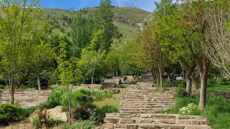 پارک جنگلی آبیدر - تصویر 3