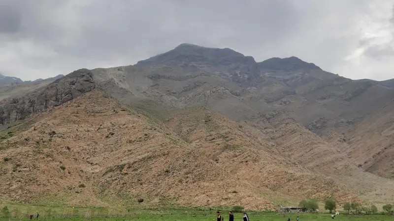 دشت هویج - تصویر 5