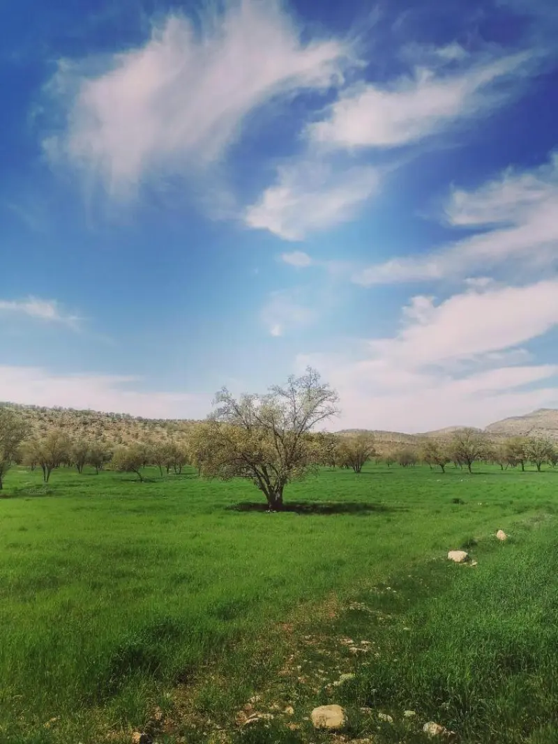 دشت برم - تصویر 4
