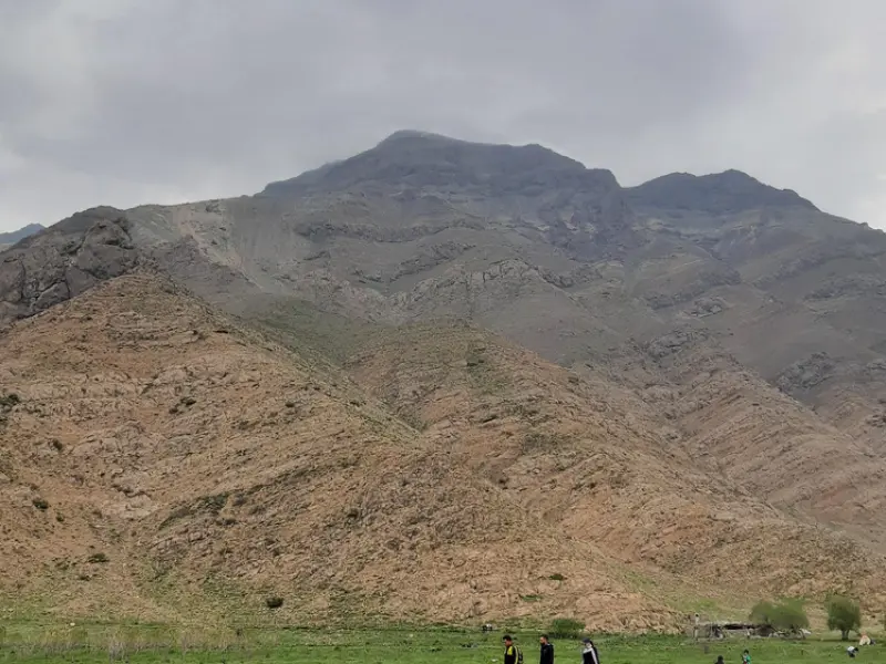 دشت هویج - تصویر 5