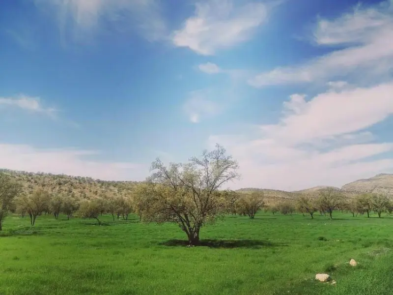 دشت برم - تصویر 4