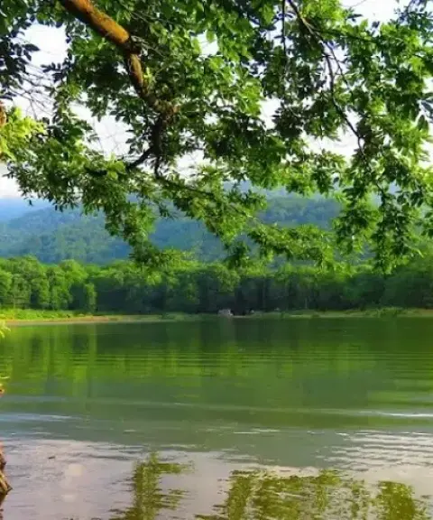 آب‌بندان کردکوی، گلستان