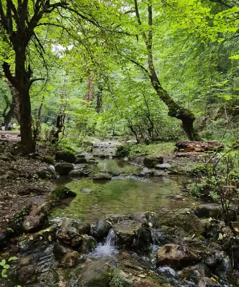 چشمه ورگینه وا، مازندران