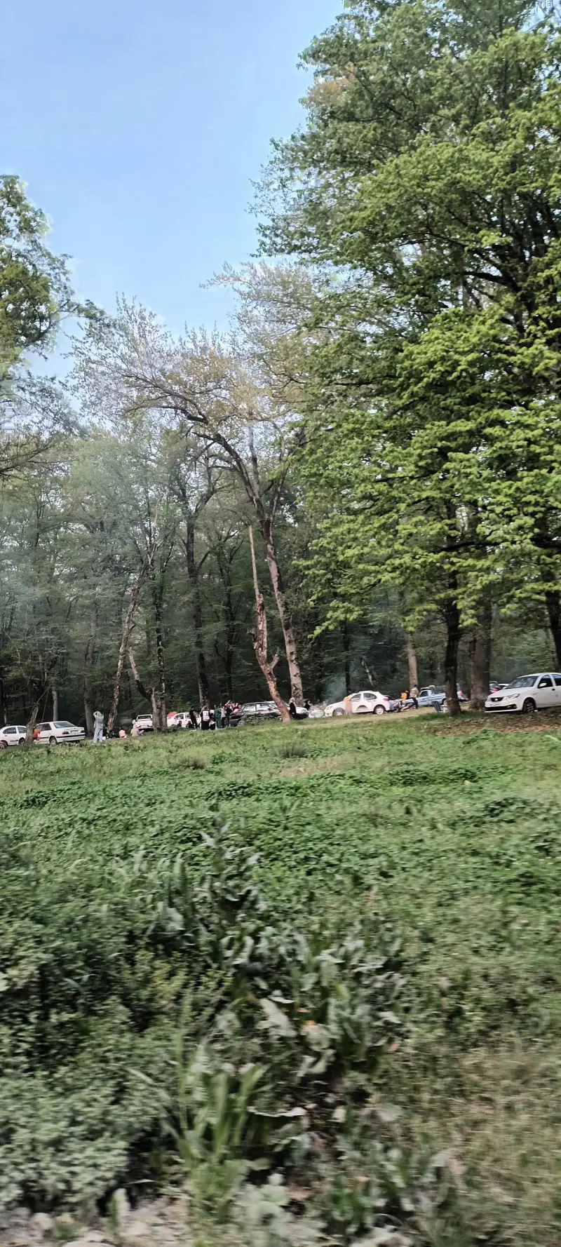 پارک جنگلی باغو - تصویر 5