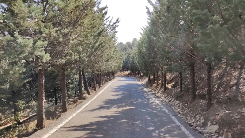پارک جنگلی تلو - تصویر 3