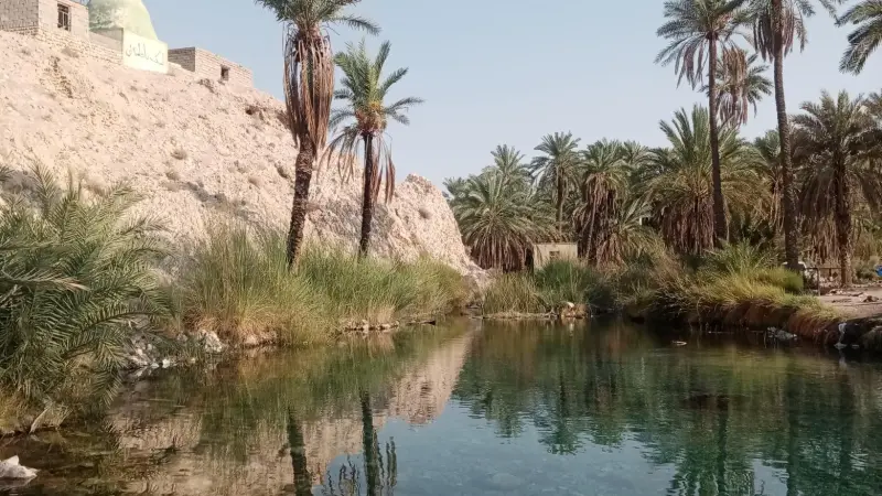 چشمه سبز پوشان - تصویر 3