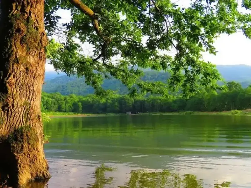 آب‌بندان کردکوی