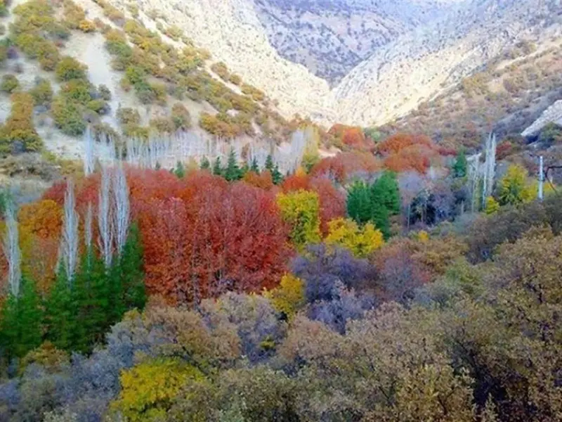 تنگ گنجه‌‌اى - تصویر 2