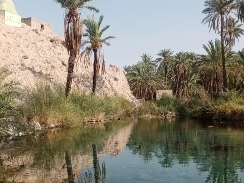 چشمه سبز پوشان - تصویر 3
