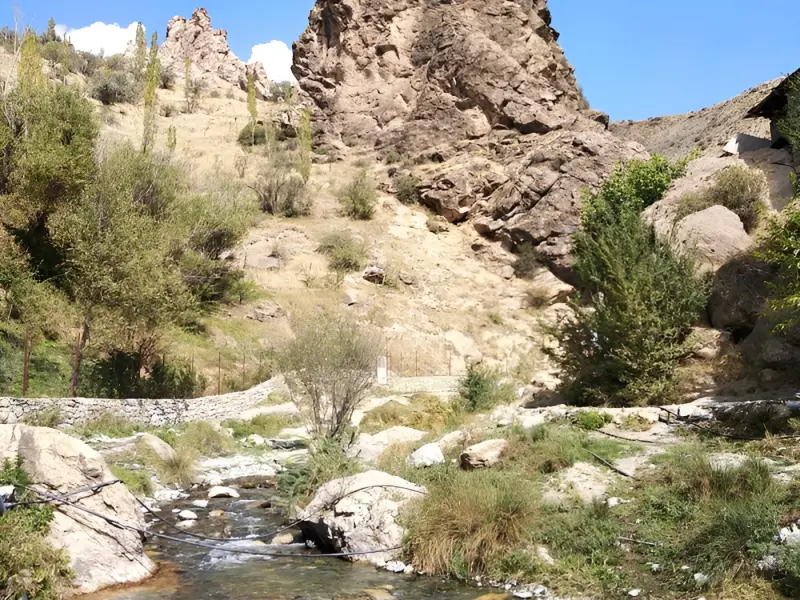 آبشار کلها - تصویر 2