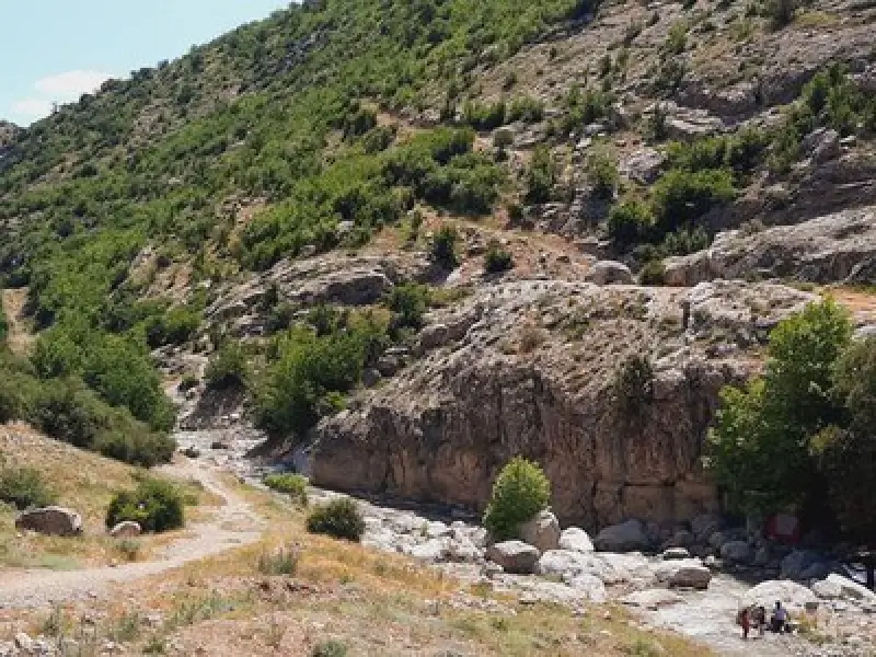 جنگل فینسک - تصویر 4