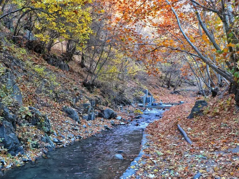 روستای جاغرق - تصویر 3
