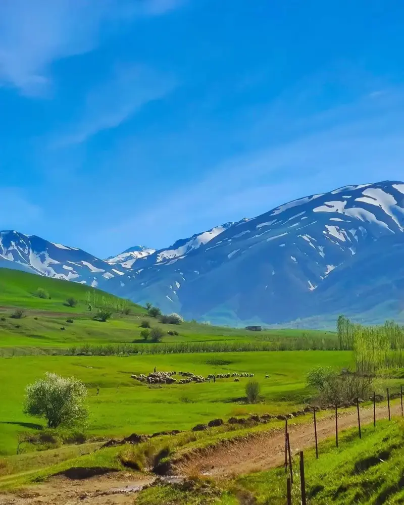 دهستان ترگور - تصویر 3