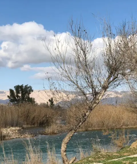 پارک جنگلی خارستان بهبهان، خوزستان