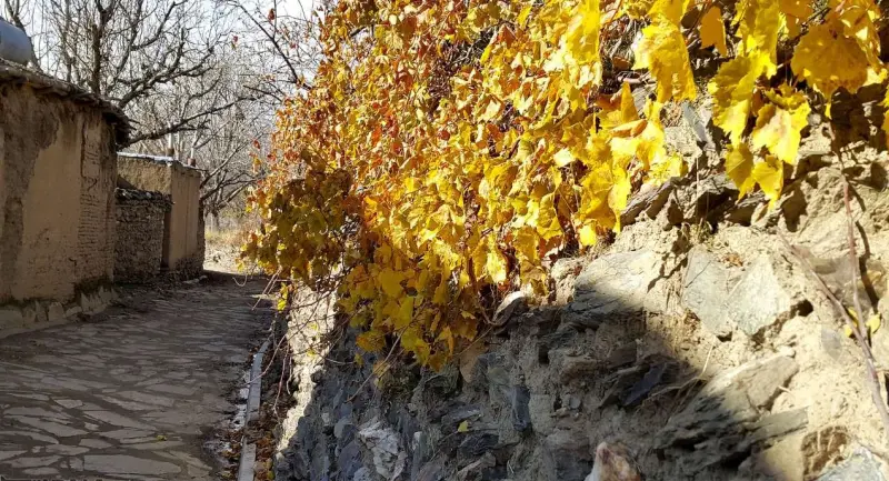 روستای طایمه - تصویر 4