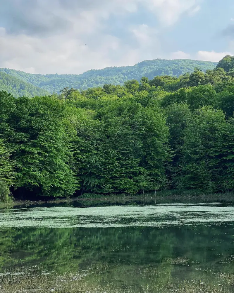 آب‌بندان باغ گلبن - تصویر 6