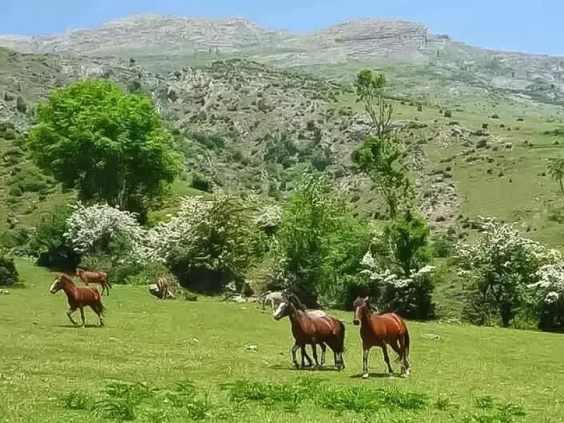 روستای فشکور - تصویر 3