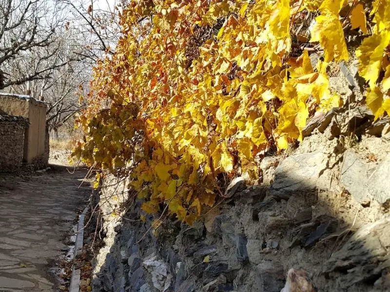 روستای طایمه - تصویر 4