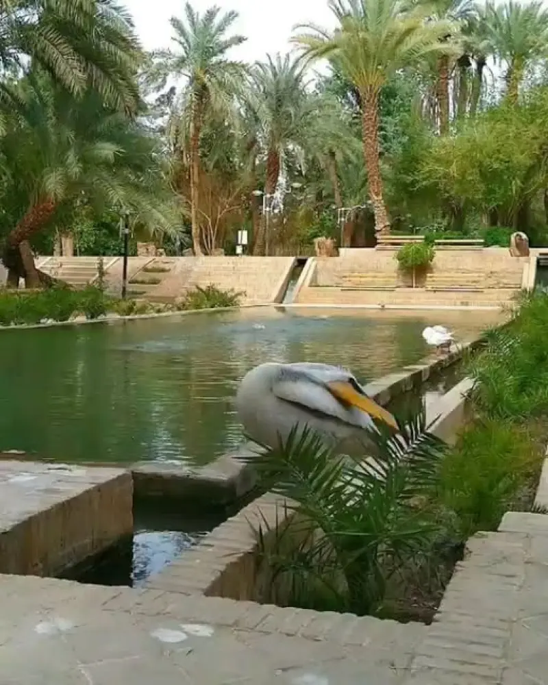 باغ گلشن طبس - تصویر 3