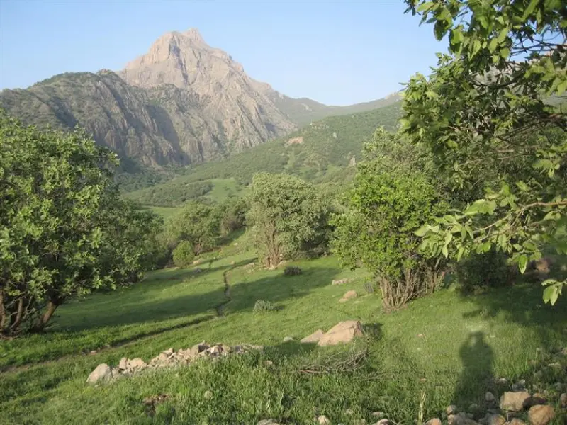کوه قارون - تصویر 3