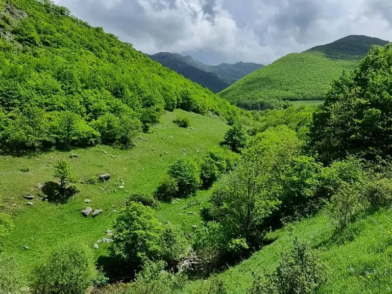 دره مکیدی - تصویر 11