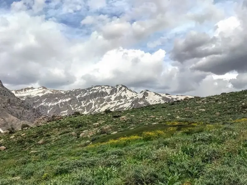 پارک ملی دنا - تصویر 8