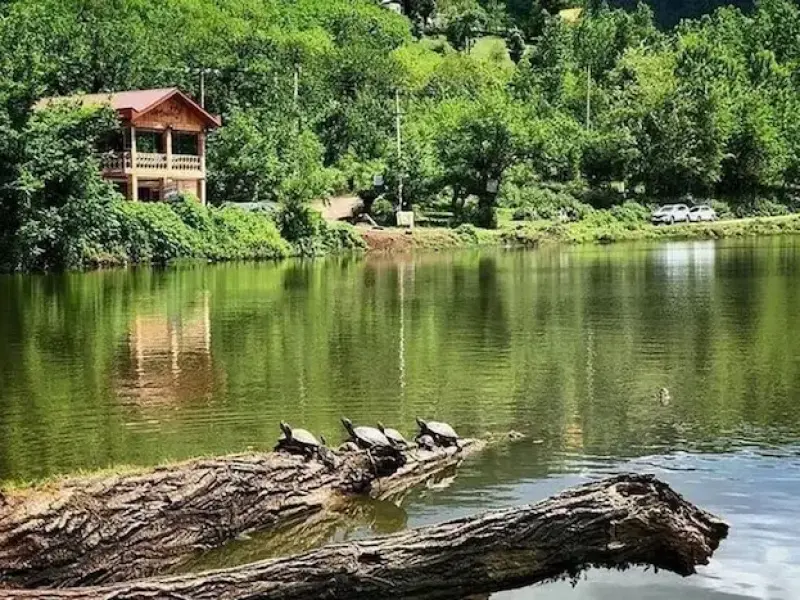 دریاچه خضر نبی - تصویر 3