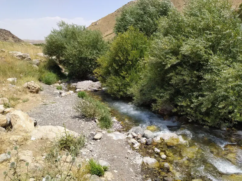 قله کول جنو - تصویر 5