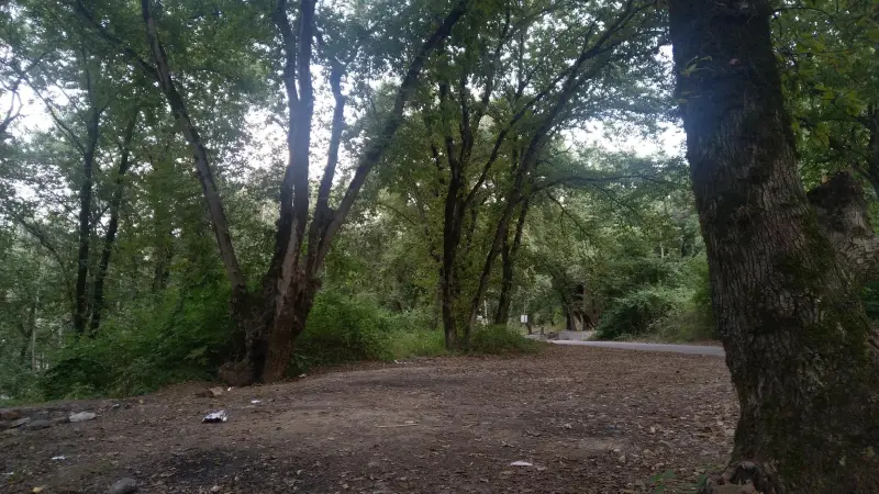 پارک جنگلی شهید زارع - تصویر 3