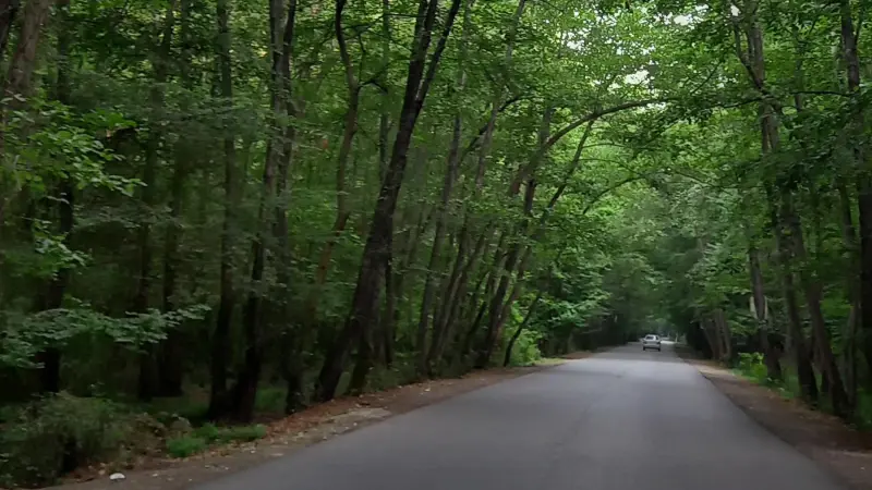 پارک جنگلی نور - تصویر 7