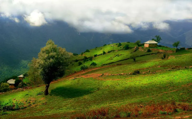 روستای آلاشت - تصویر 3