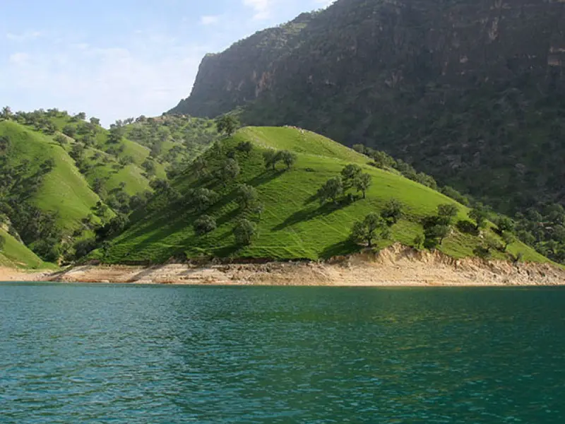 دشت سوسن - تصویر 2