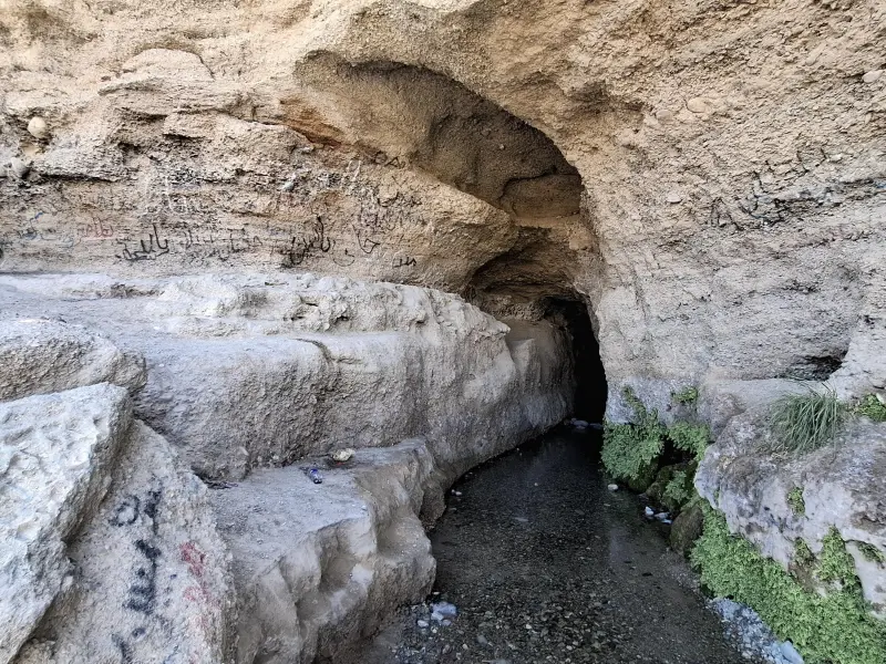 غار لادیز