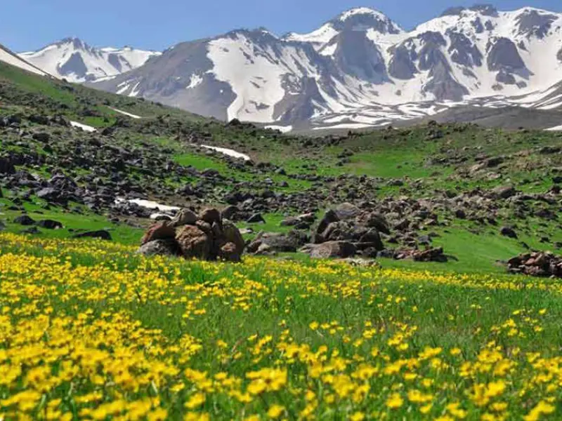 روستای آلوارس - تصویر 3