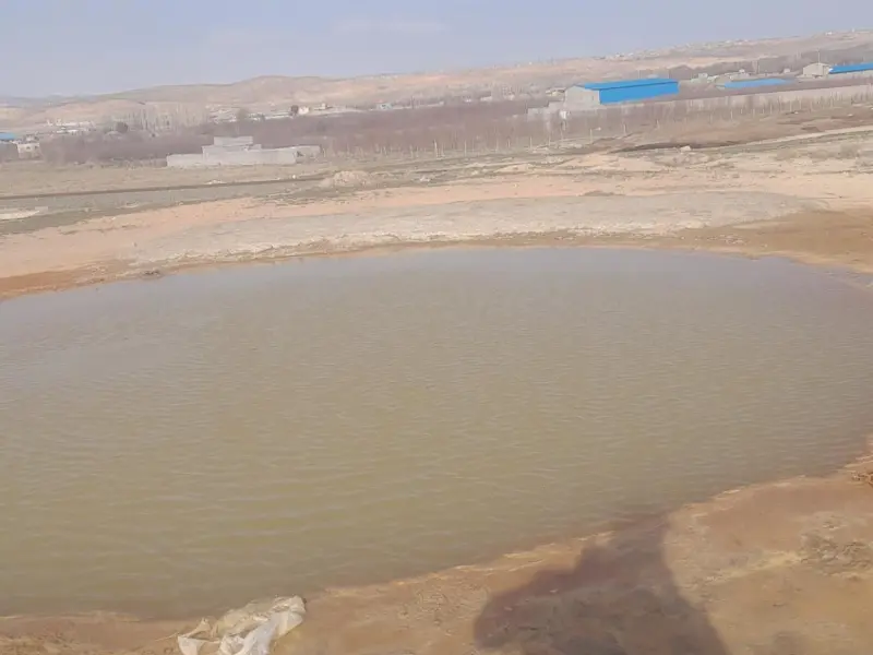 چشمه ساری سو - تصویر 2