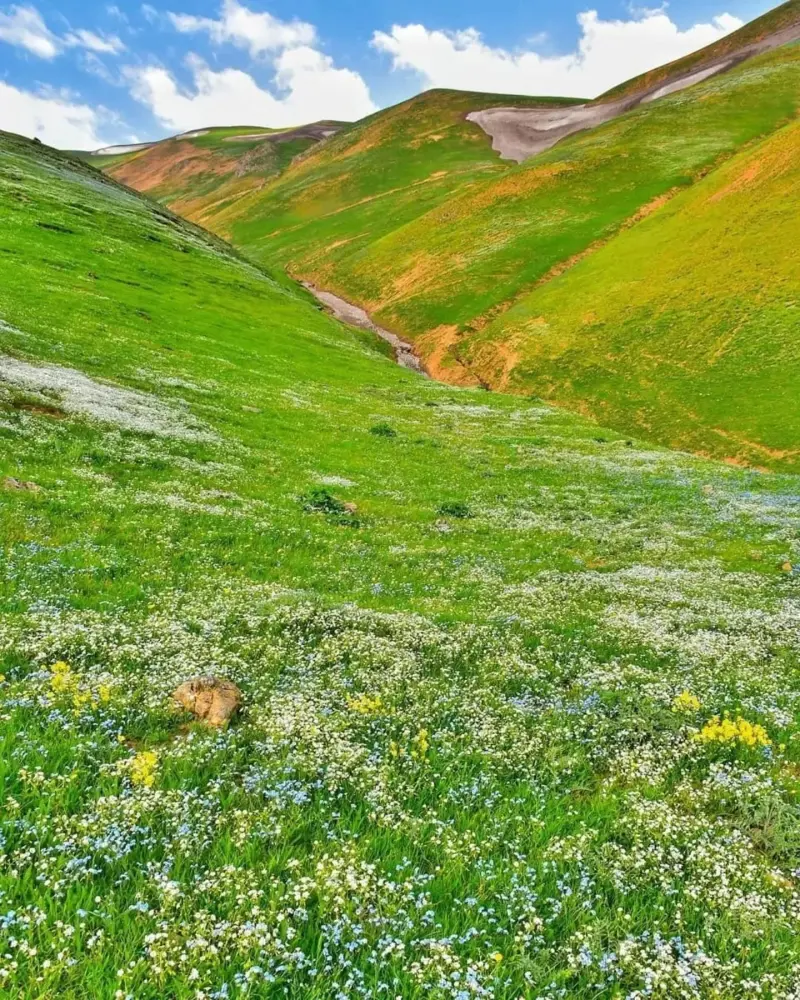 ییلاق پونل - تصویر 8