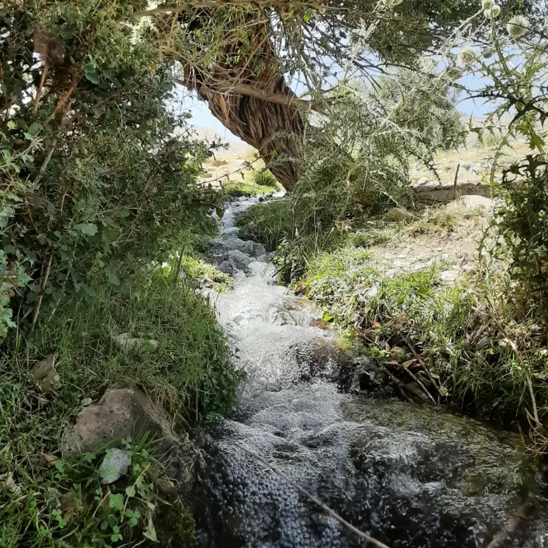 روستای ویدوجا - تصویر 2