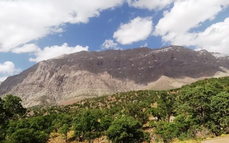 پارک ملی دنا - تصویر 6
