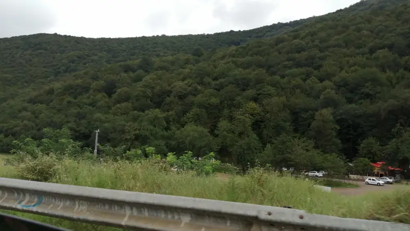 پارک جنگلی درنیکا - تصویر 2