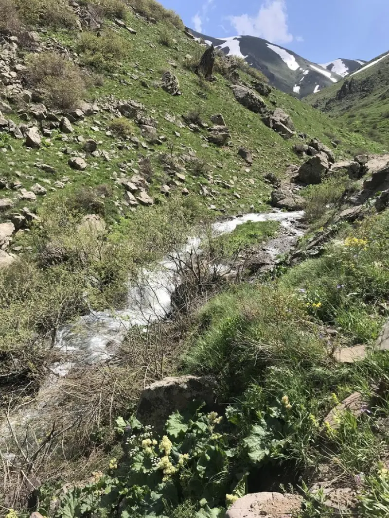 آبشار دگاهی - تصویر 1