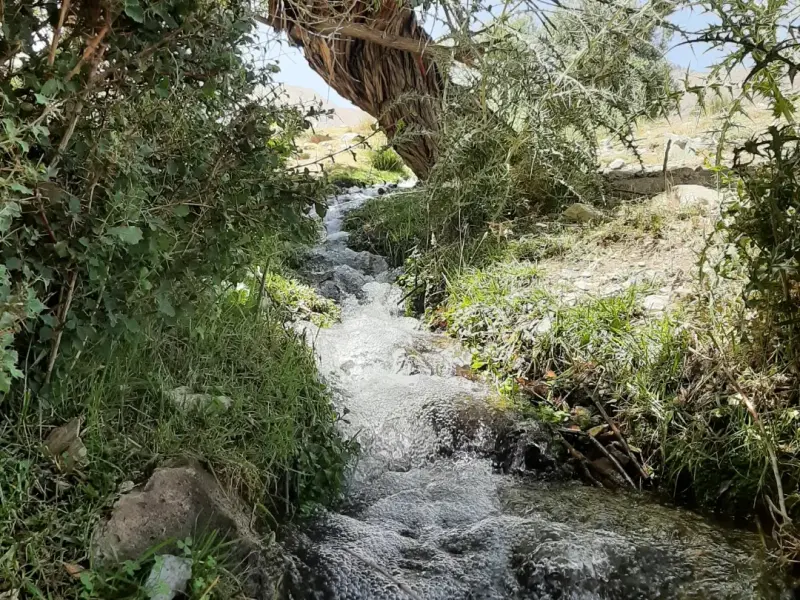 روستای ویدوجا - تصویر 2