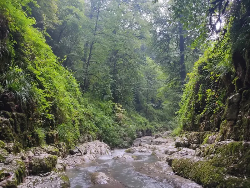 آبشار کوهسر - تصویر 2