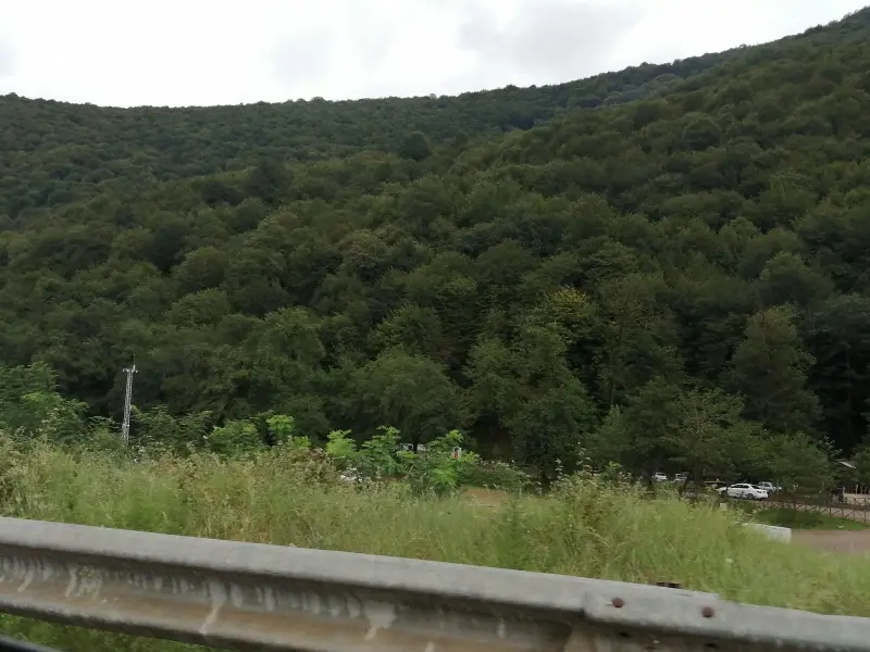 پارک جنگلی درنیکا - تصویر 2